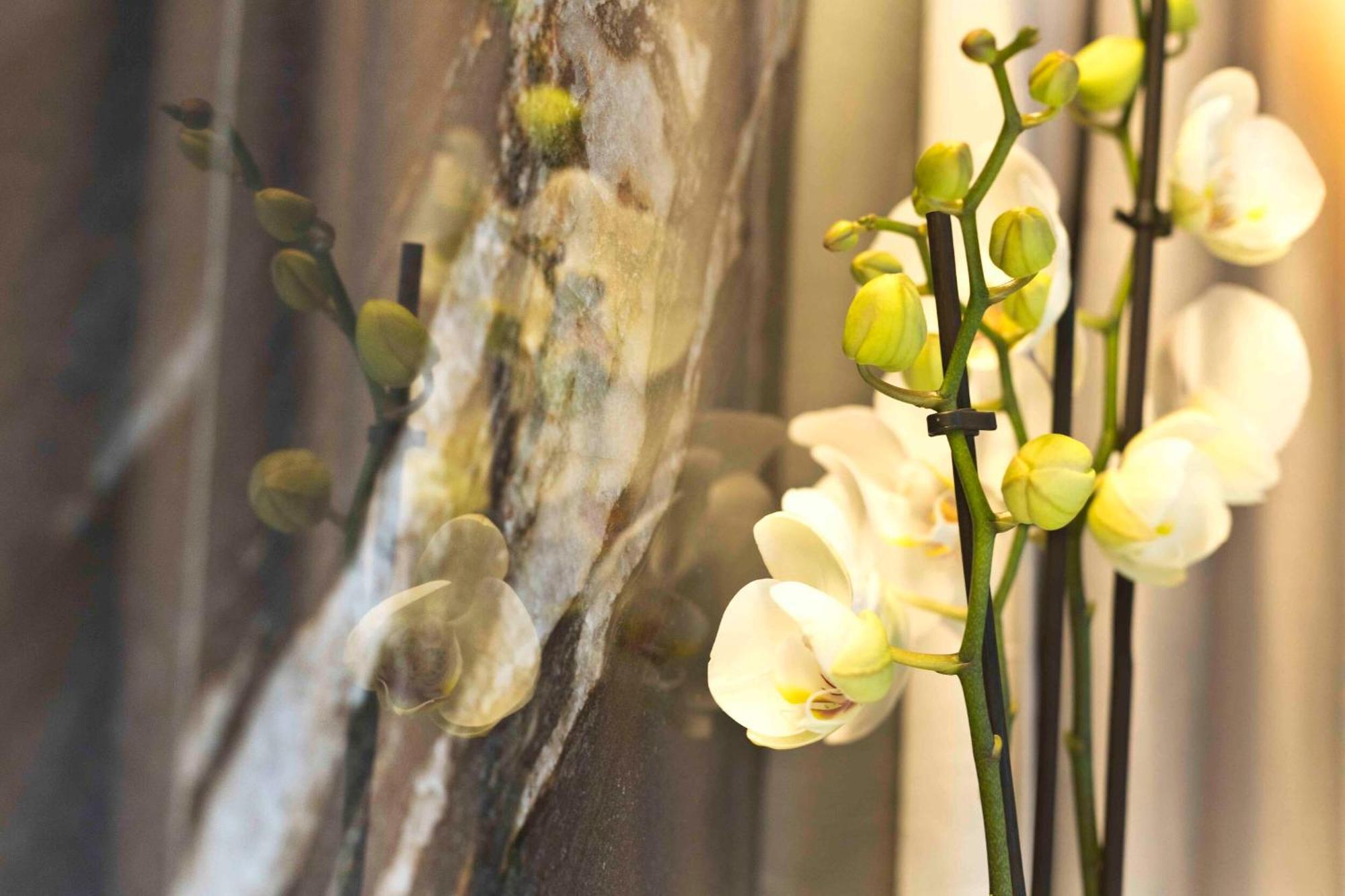 Boutique Hotel Sirmione Dış mekan fotoğraf